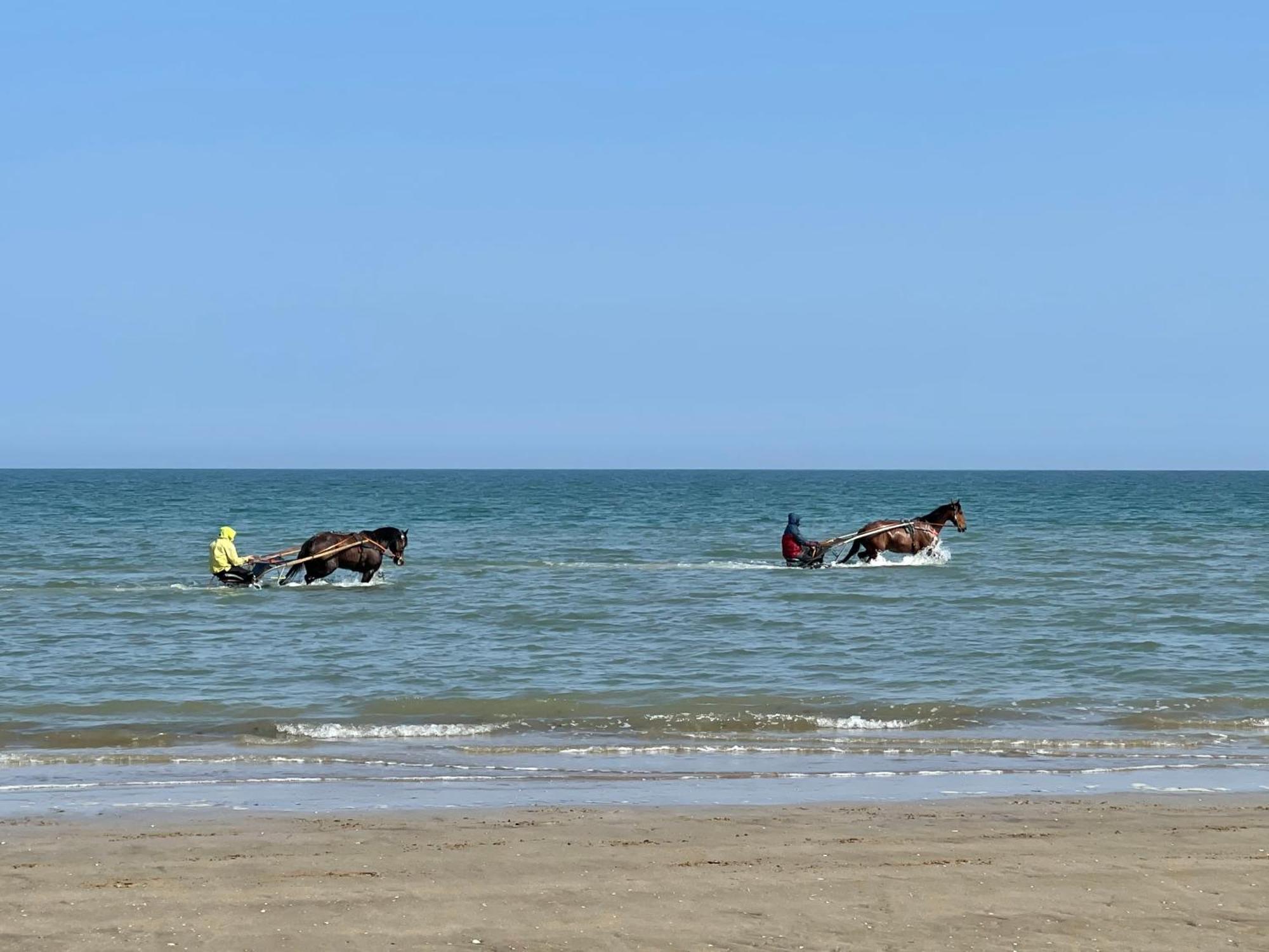 Villa Les Myrtilles Cabourg Zewnętrze zdjęcie